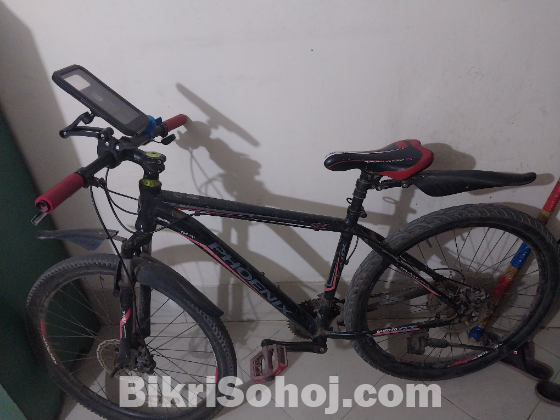 Cycle